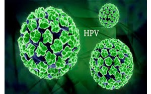 بررسی آزمایش ویروس پاپیلومای انسانی (hrHPV)