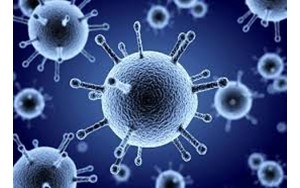 شناسایی روش‌های مؤثر جدید برای پیشگیری از سرماخوردگی و آنفولانزا