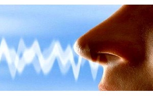 کاهش حس بویایی نشانه چیست؟