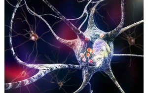 تشخیص بیماری پارکینسون ۹ سال پیش از بروز علائم