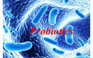نکاتی درباره پروبیوتیک‌ها
