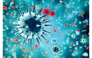 ورود ویروس آنفولانزا به سلول انسان چگونه صورت می گیرد؟