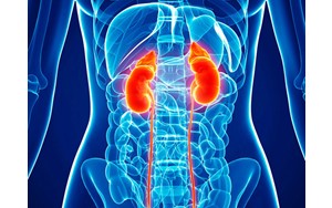 چگونه مراقب سلامت کلیه‌ها باشیم