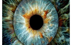 تشخیص زودهنگام «آب‌سیاه» ممکن شد