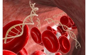 دانشمندان DNA زائد را به سلاح قاتل سرطان تبدیل می‌کنند