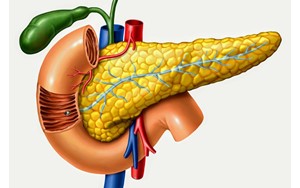 4علامت پنهان سرطان پانکراس در پاها